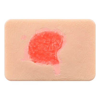 Card-sized Granulation Wound Simulation Models