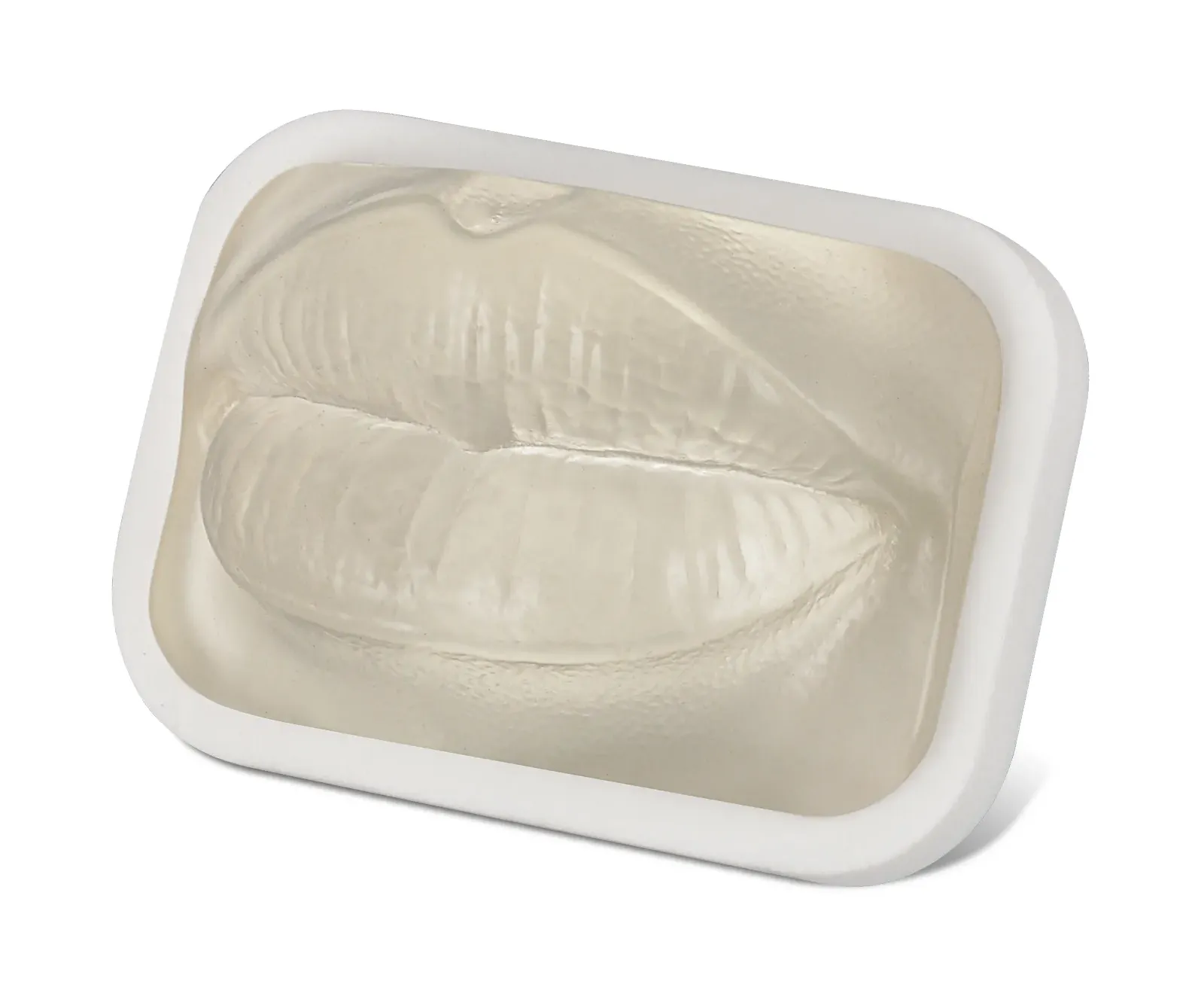 transparent lip model