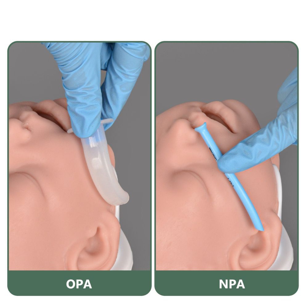 Infant Airway Management Trainer Head for OPA & NPA Practice
