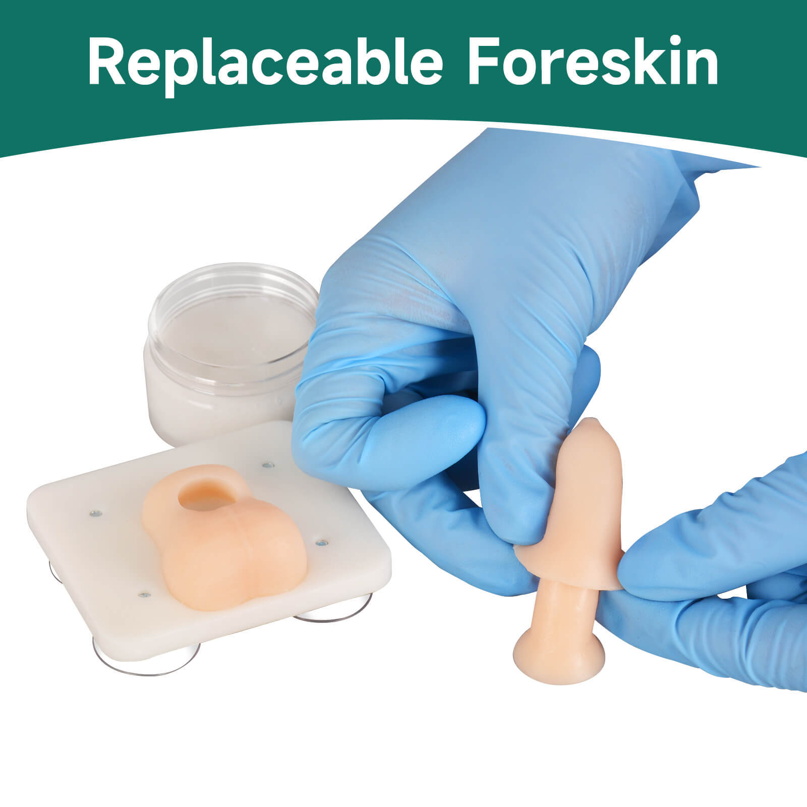 Infant Circumcision Trainer with Replaceable Foreskin
