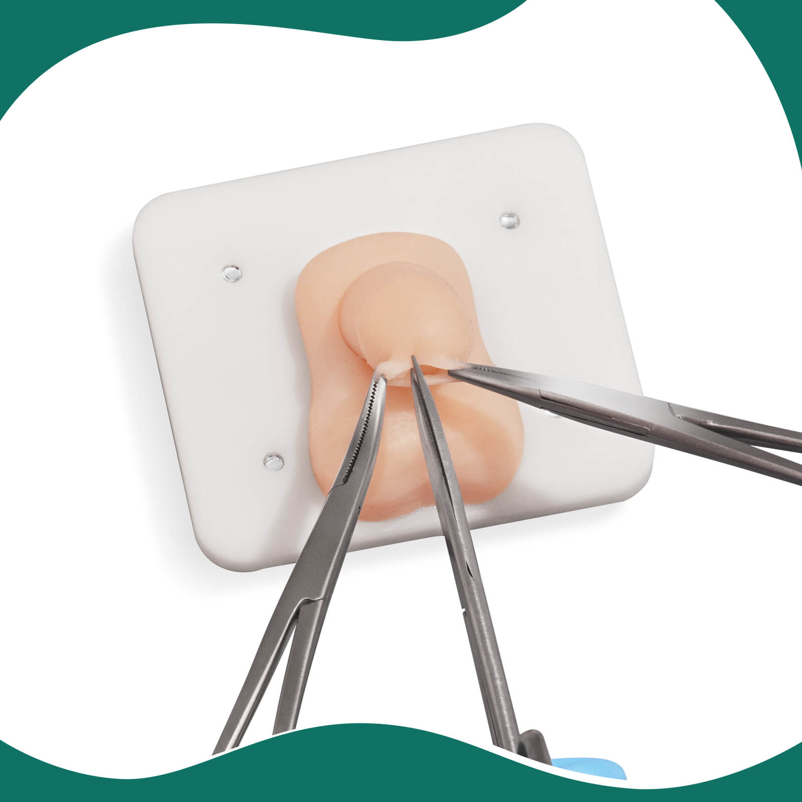 Infant Circumcision Trainer with Replaceable Foreskin