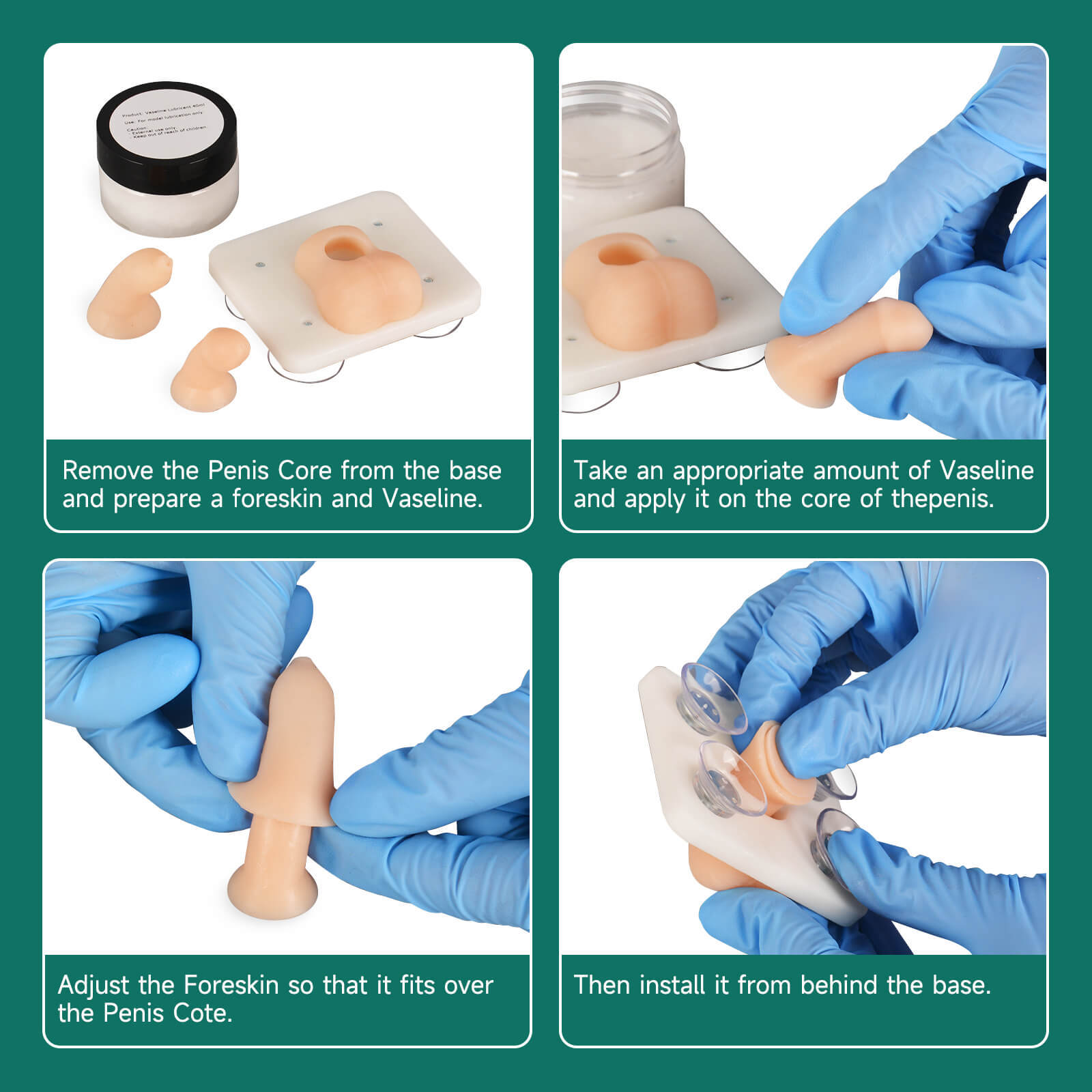 Infant Circumcision Trainer with Replaceable Foreskin