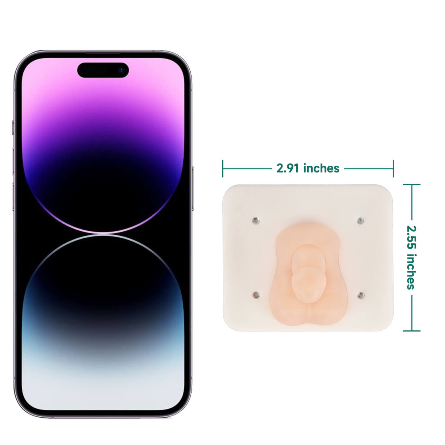 Infant Circumcision Trainer with Replaceable Foreskin