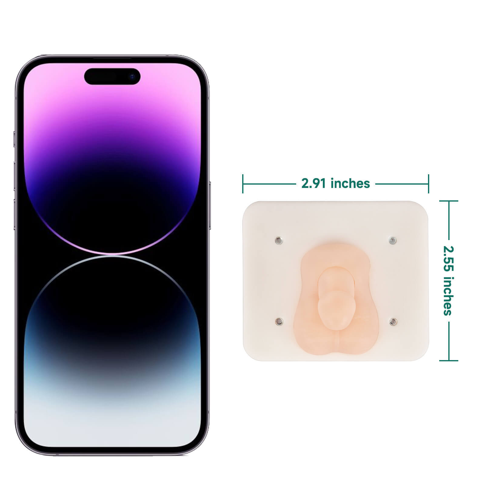 Infant Circumcision Trainer with Replaceable Foreskin