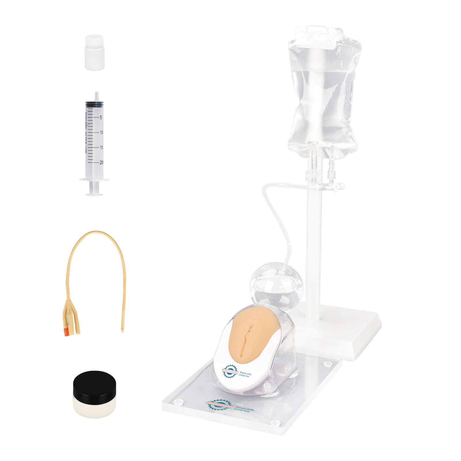 Infant Female Catheterization Trainer