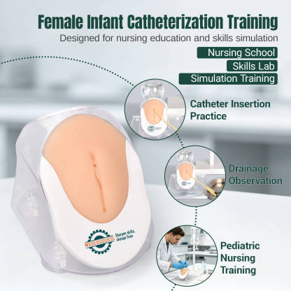 Infant Female Catheterization Trainer