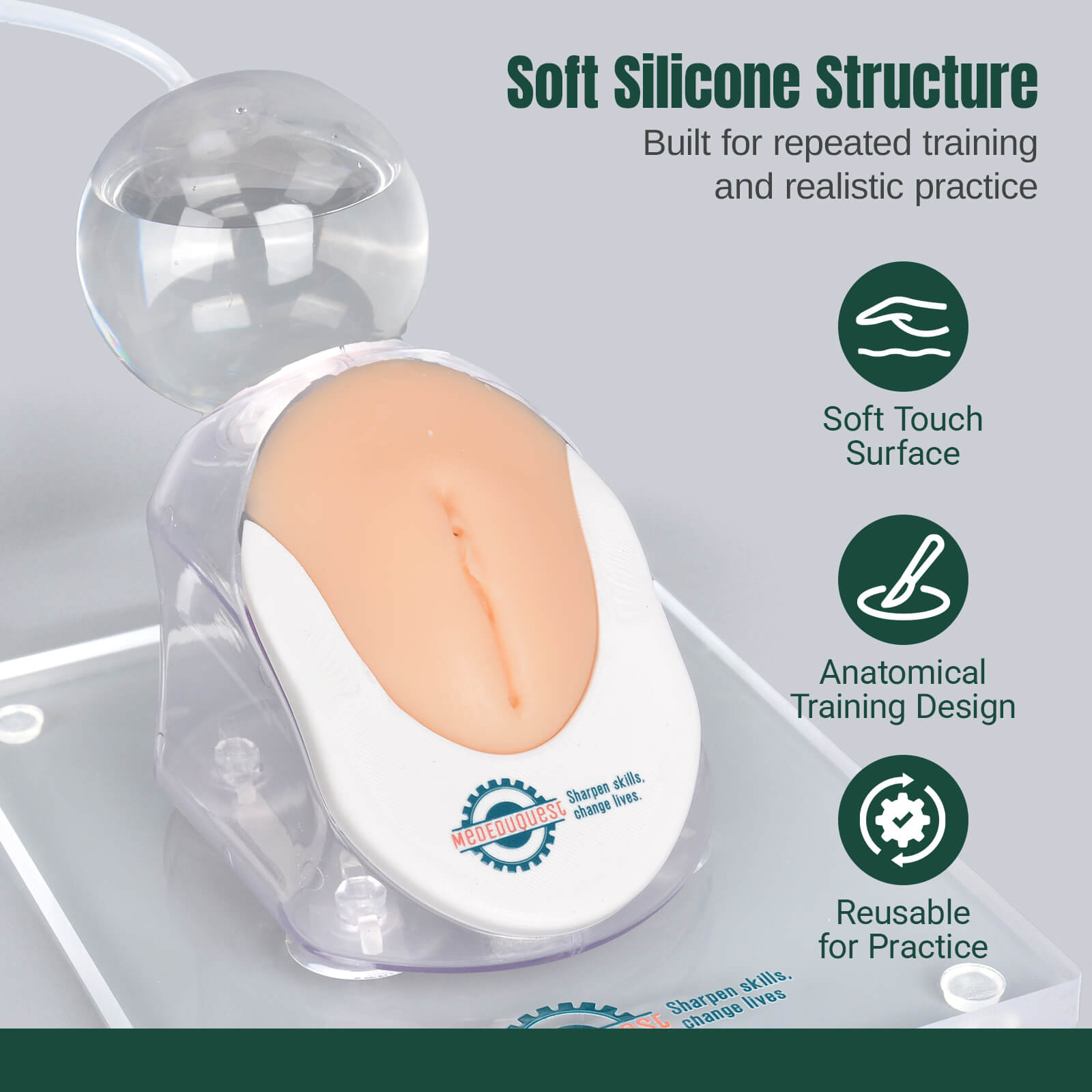 Infant Female Catheterization Trainer