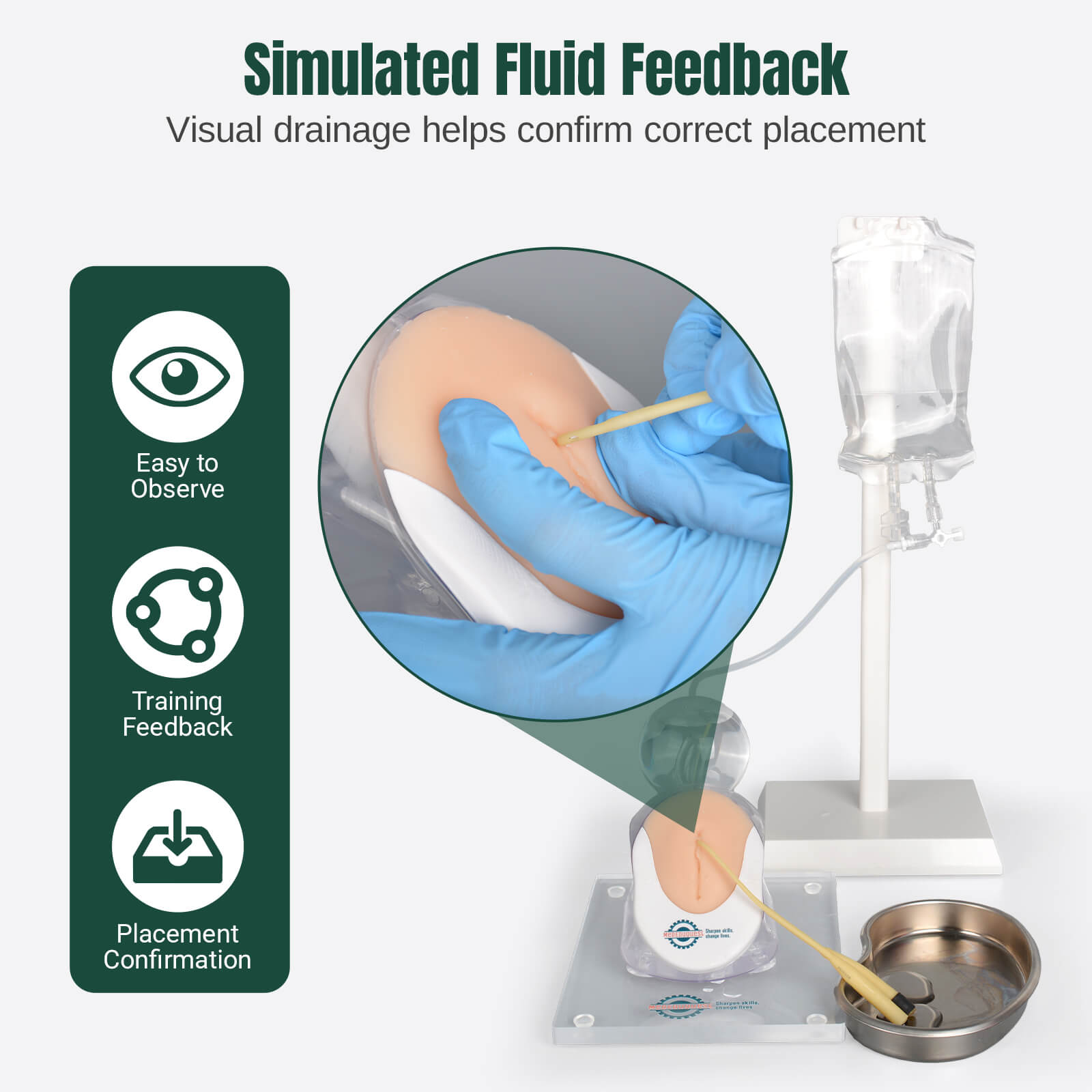 Infant Female Catheterization Trainer