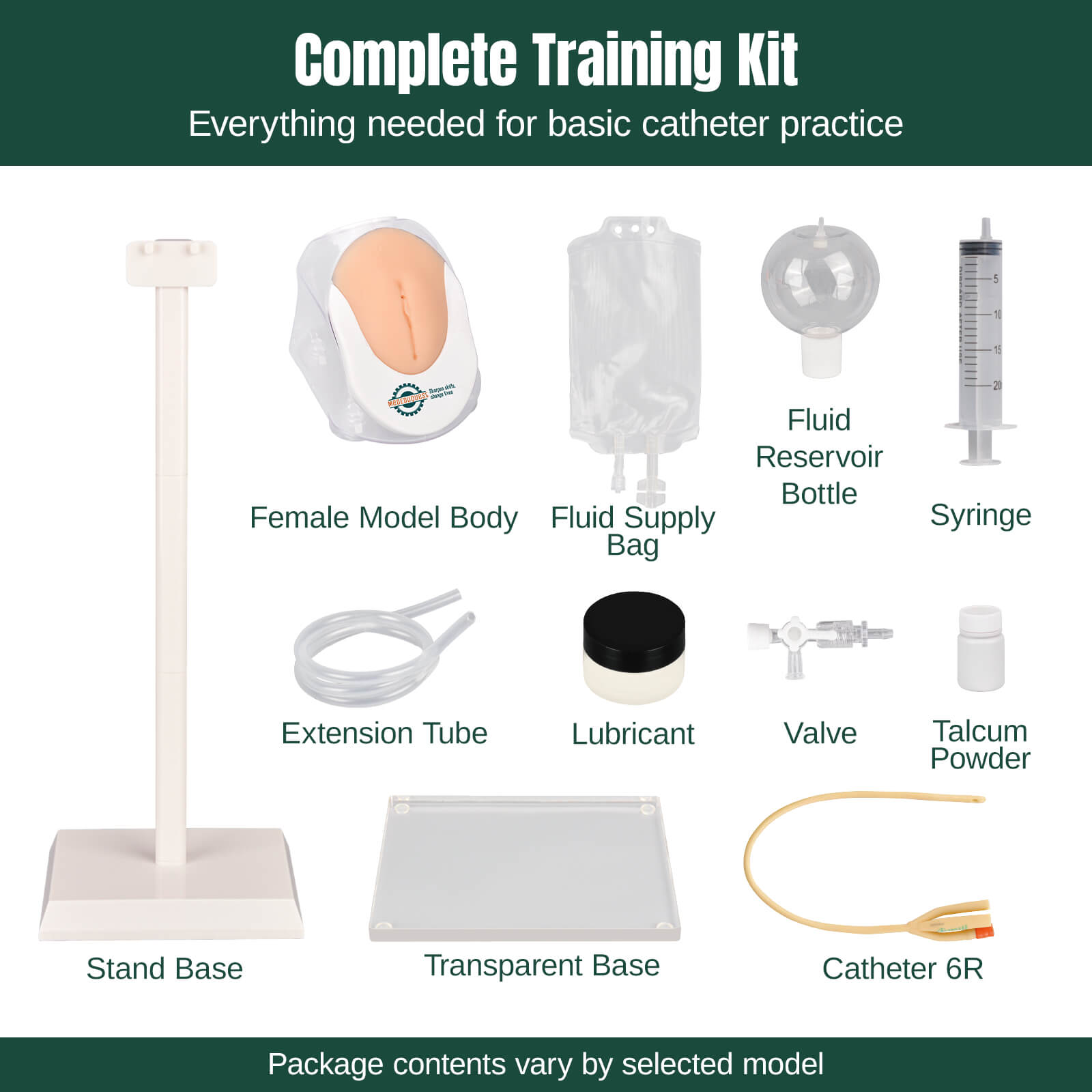 Infant Female Catheterization Trainer