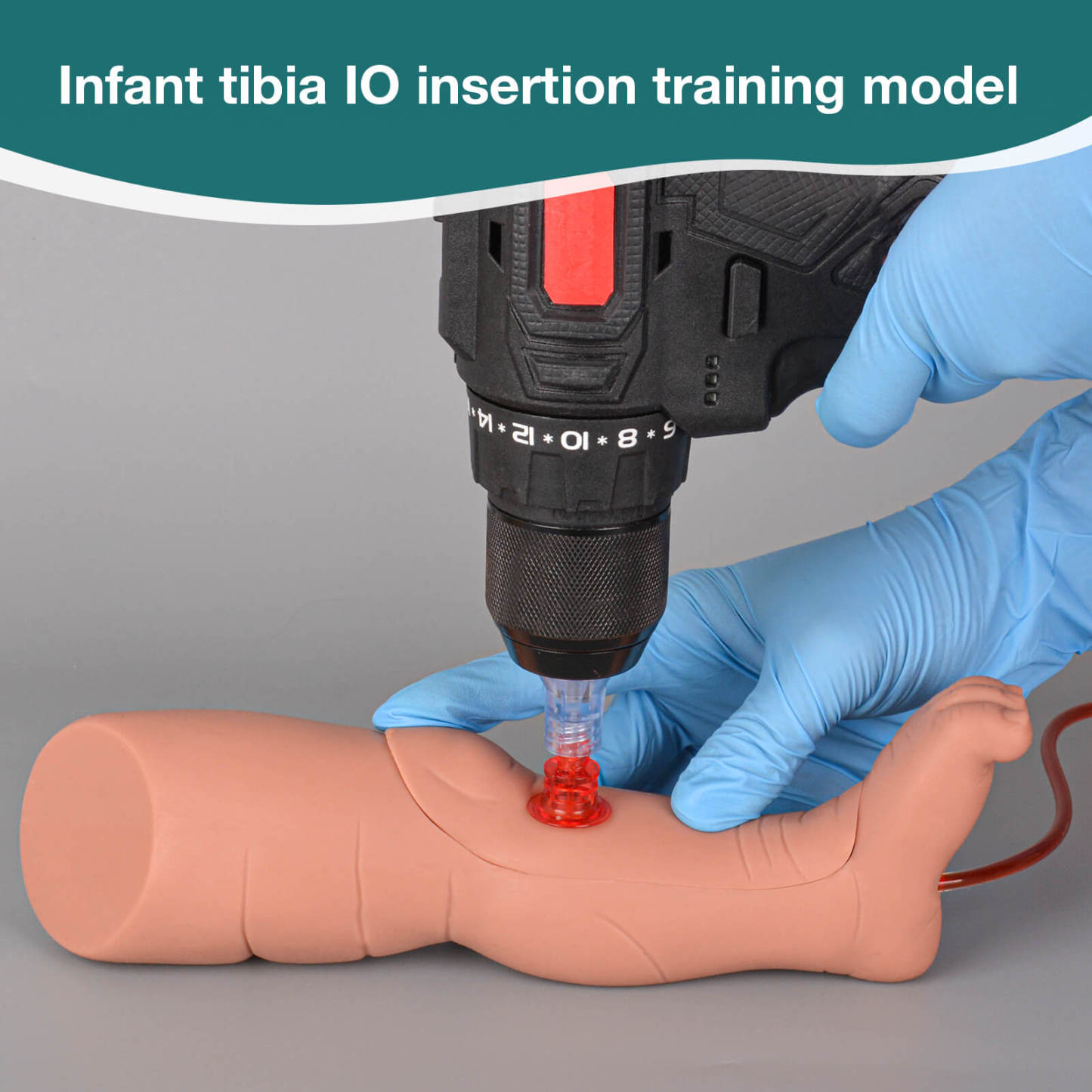 Intraosseous (IO) Trainer With Detachable Bone For Tibia Injection