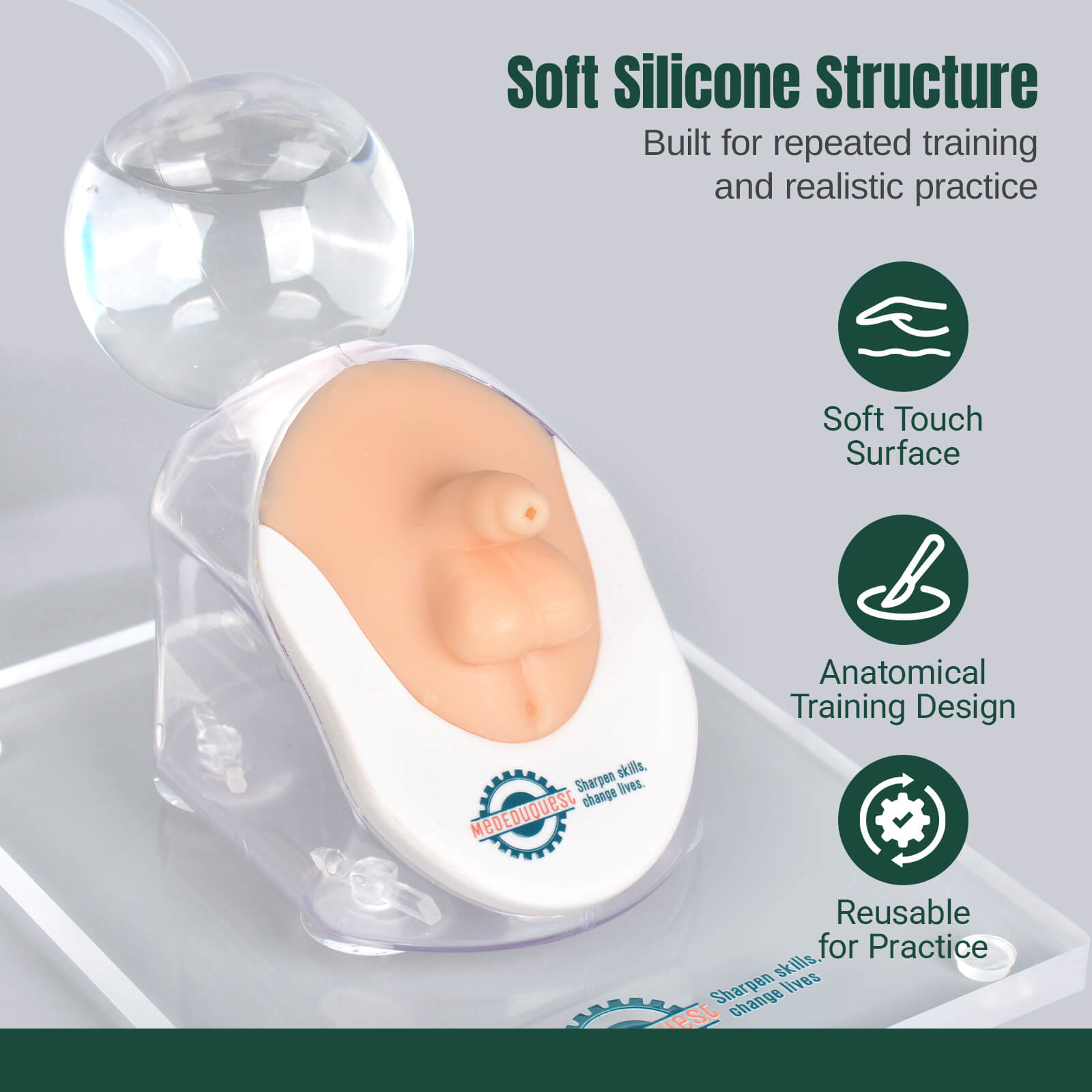 Infant Male Catheterization Trainer