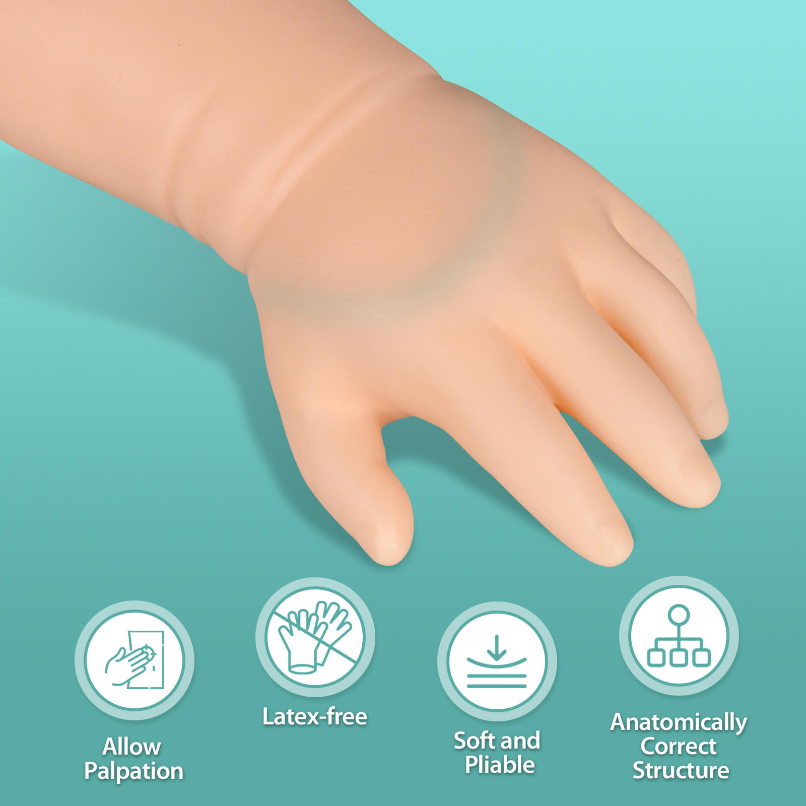 Infant Phlebotomy & IV Practice Arm Kit