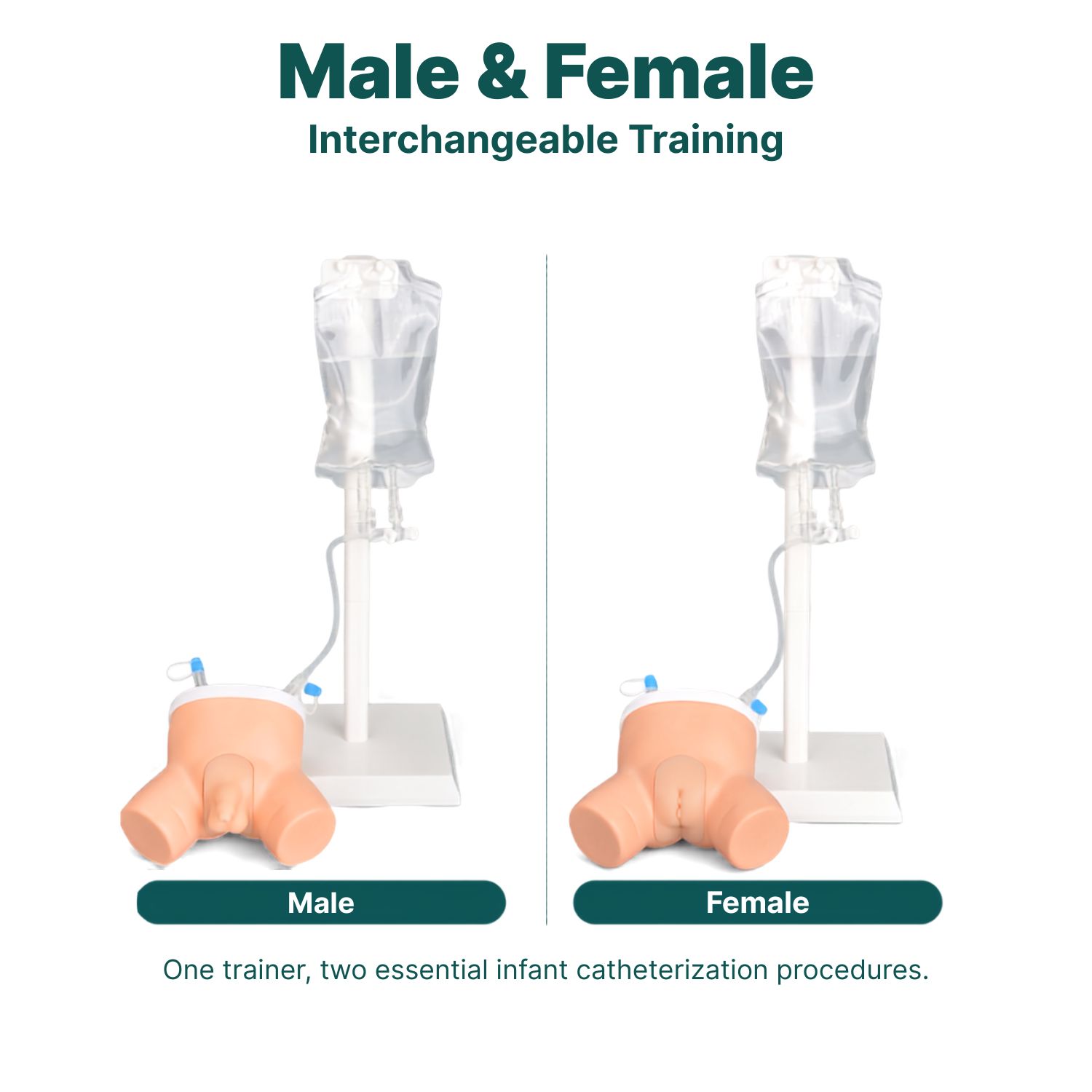 2-in-1 Infant Urinary Catheterization Trainer
