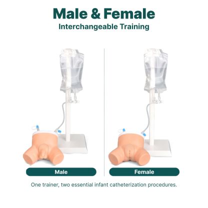 2-in-1 Infant Urinary Catheterization Trainer
