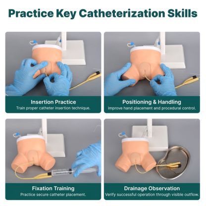 Infant Catheter Insertion Practice with Silicone Anatomical Insert