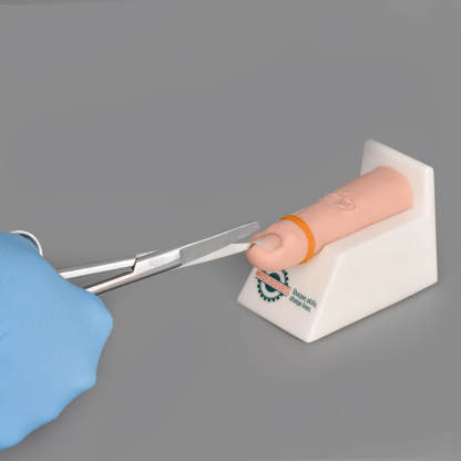 Detachable Ingrown Nail Trainer Kit for Medical Education
