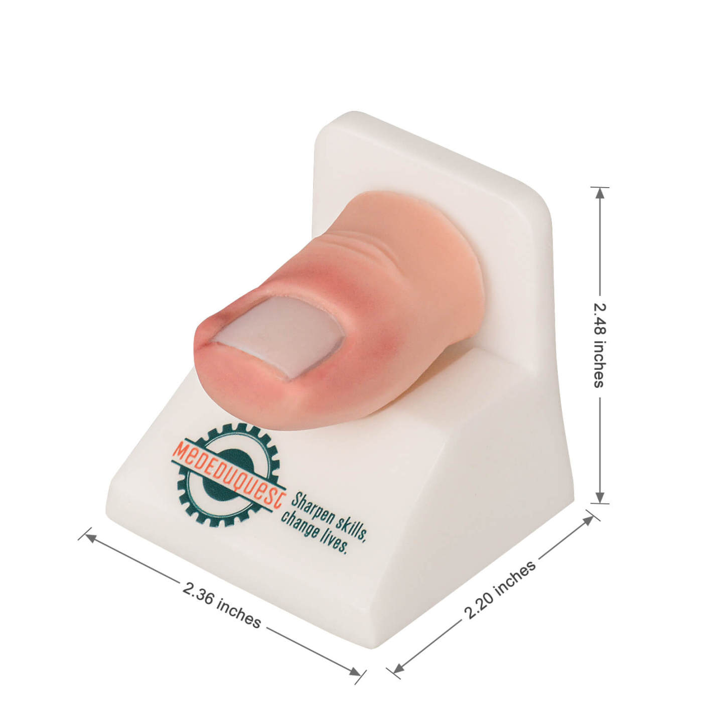 Ingrown Toenail Trainer Kit with Base for Toenail Removal Simulation