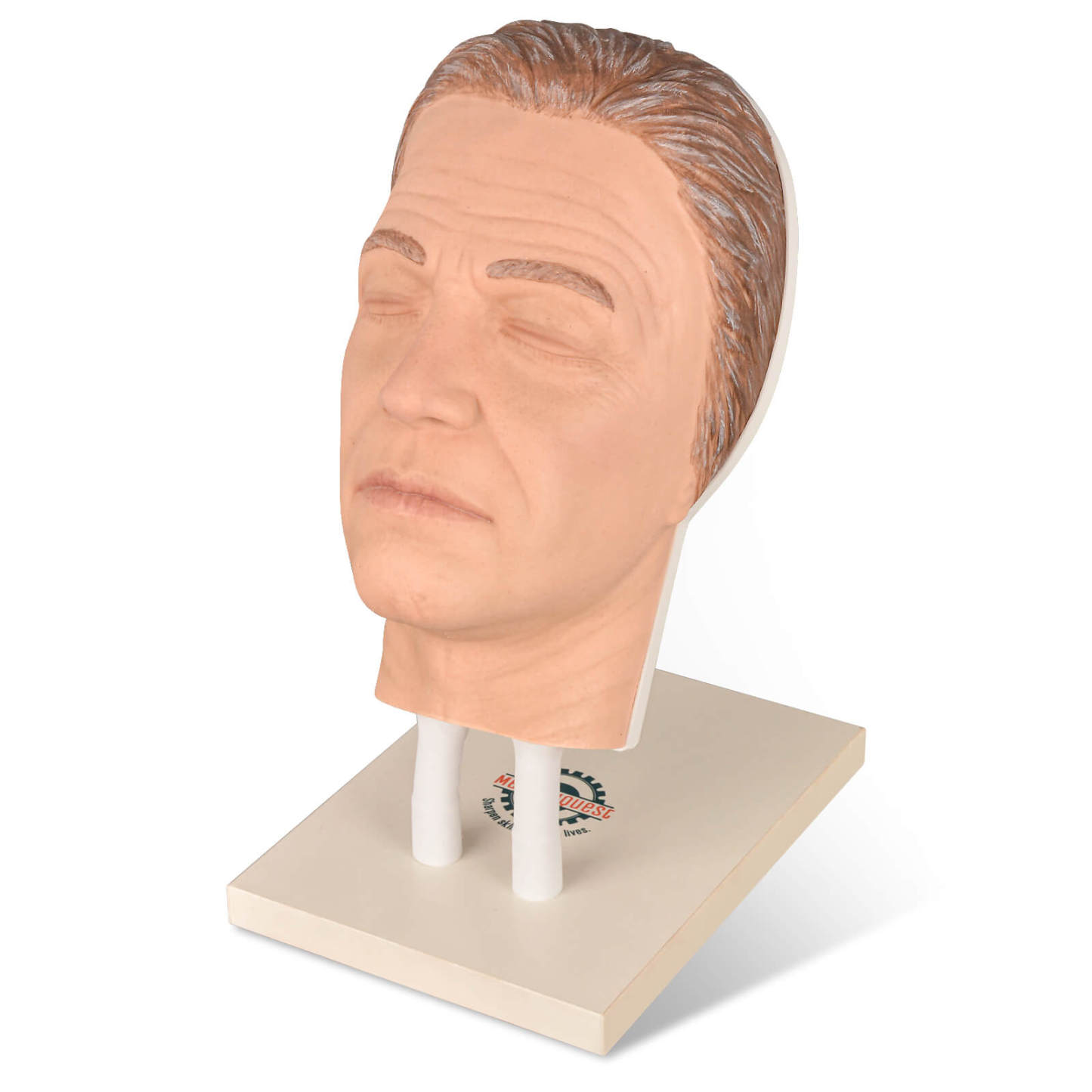 Facial Injection Training Silicone Mannequin Head with Dark Skin - Kaya Model