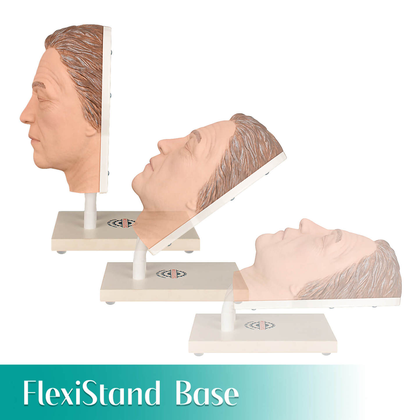 Facial Injection Training Head with Adjustable Base