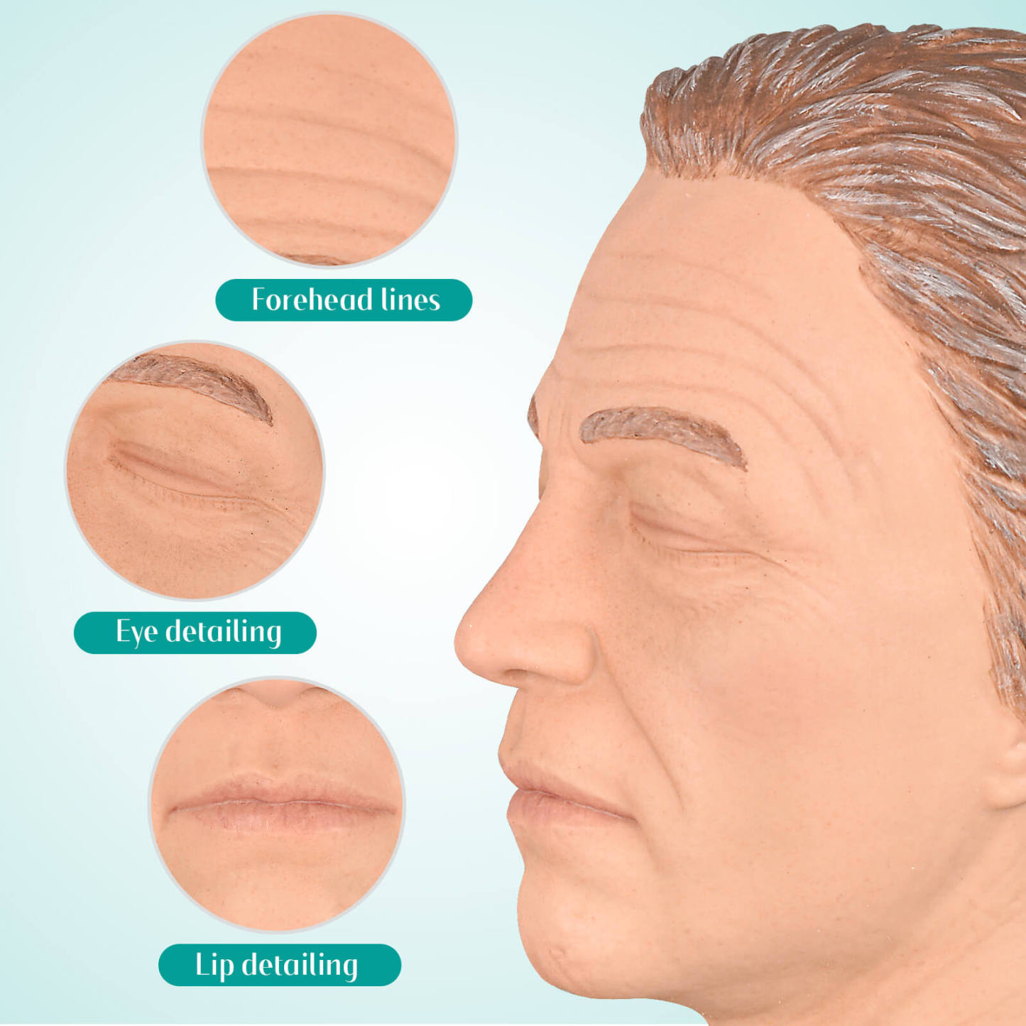 Facial Injection Training Head with Facial Details