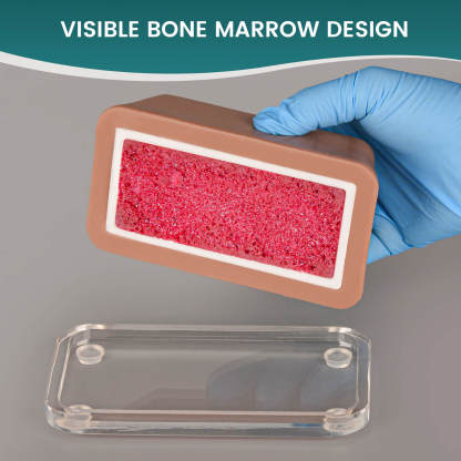 Transparent IO Access Trainer with Bone Marrow - Flat Practice Surface