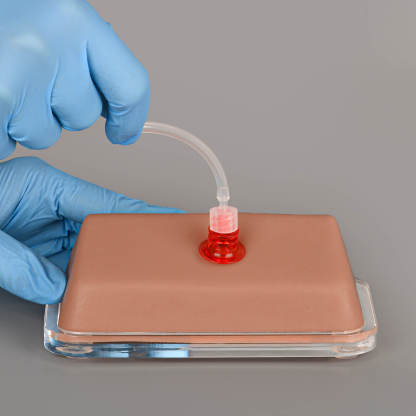 Transparent IO Injection Trainer with Bone Marrow - Angled Practice Surface