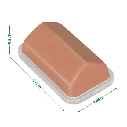 Clear IO Injection Trainer with Bone Marrow, Angled Surface