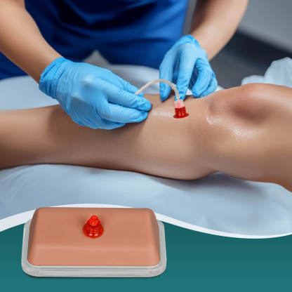 Transparent IO Injection Trainer with Bone Marrow - Angled Practice Surface