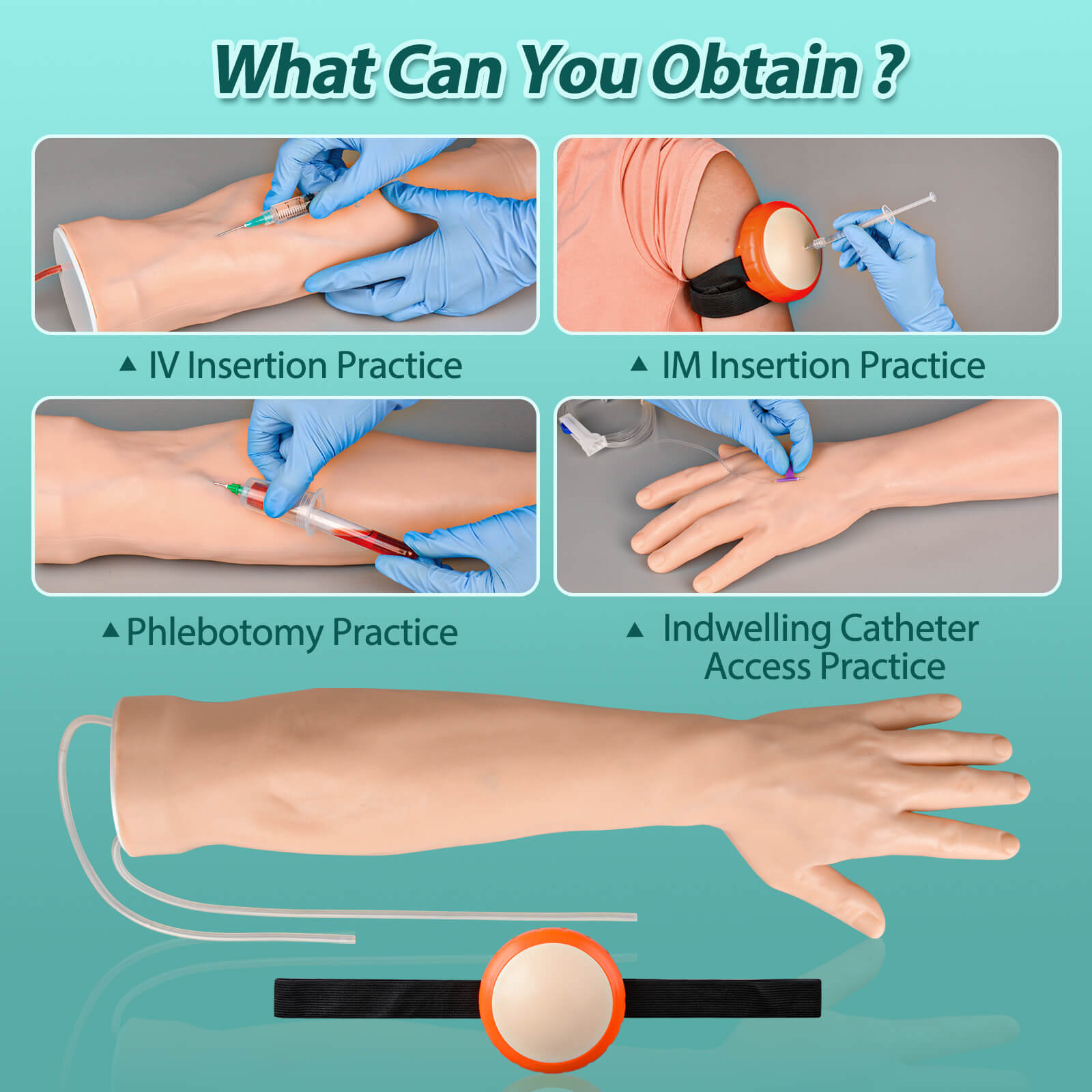 IV Injection Arm for Phlebotomy Venipuncture Cannulation Practice