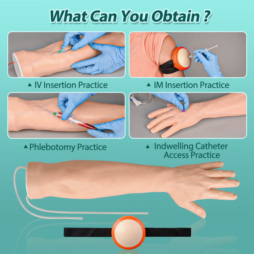 IV Injection Arm for Phlebotomy Venipuncture Cannulation Practice ...