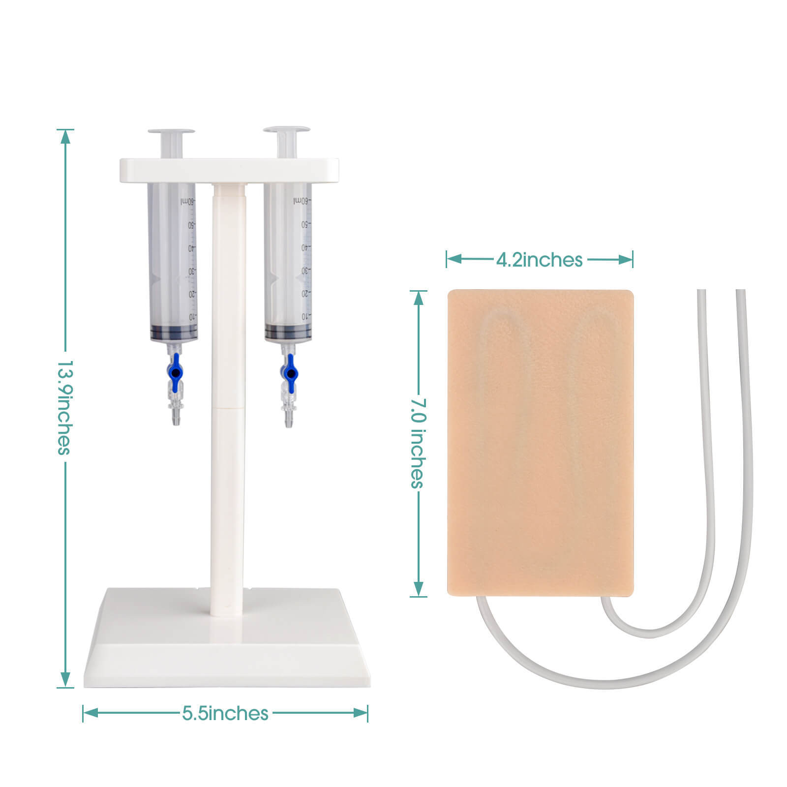 MedEduQuest Multipurpose IV Injection & Phlebotomy Training Kit