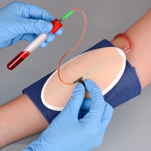  IV Insertion & Cannulation Practice Kit for Nursing Students