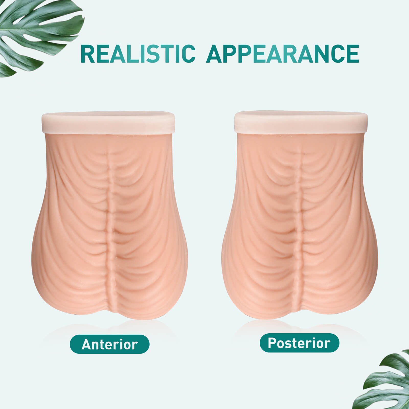 Realistic Testicular Examination Model, Large Size