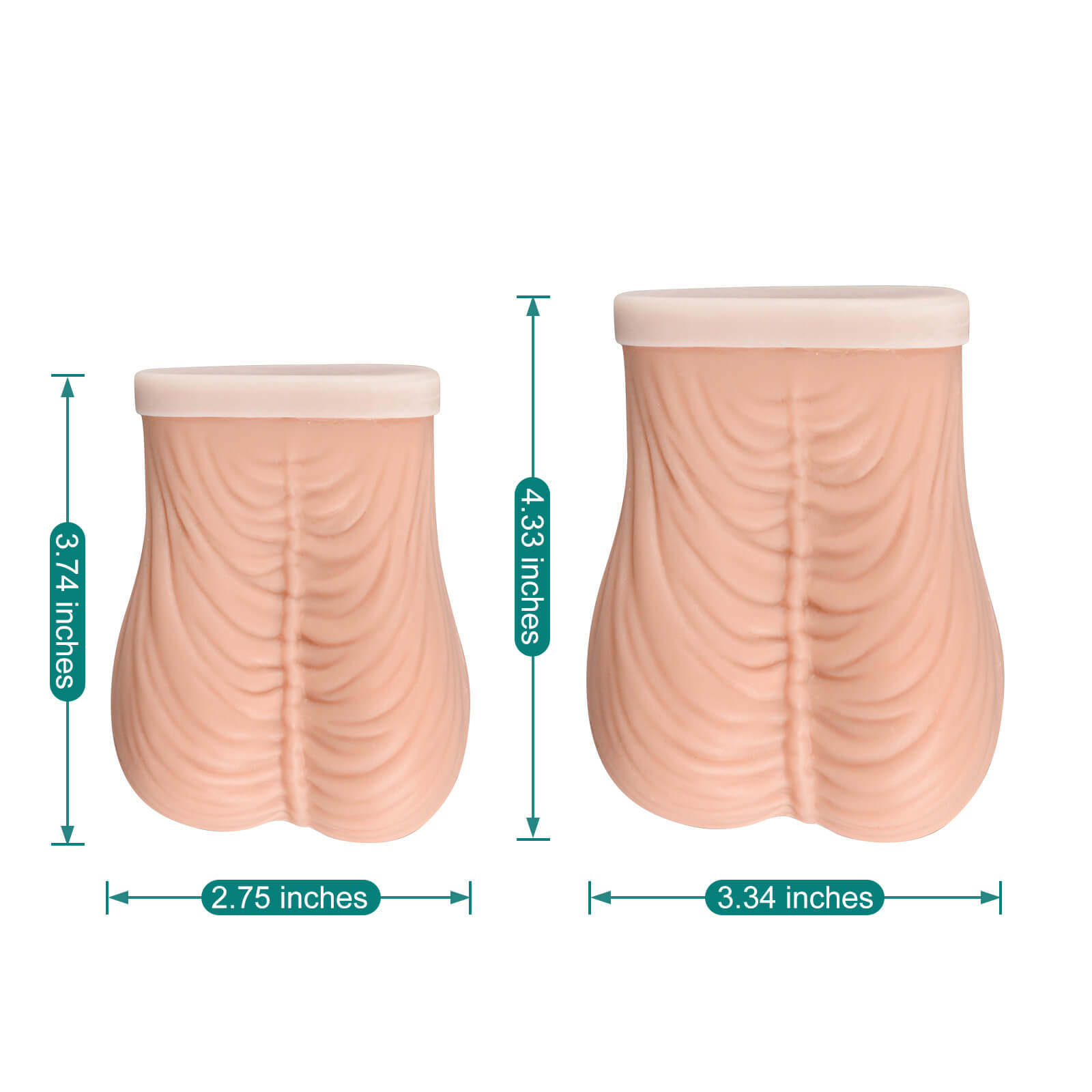 Testicular Cancer Palpation Practice Model, Standard & Large Size