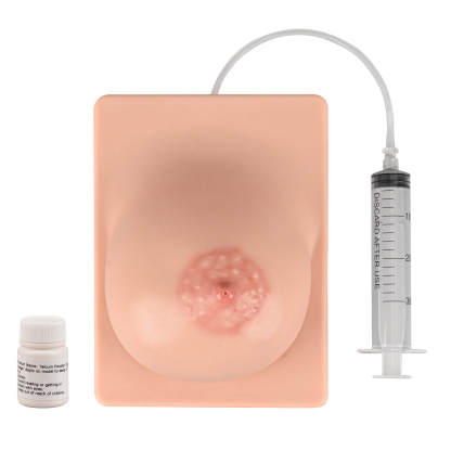 Lactation Breast Model for Breastfeeding Massage Education, Left