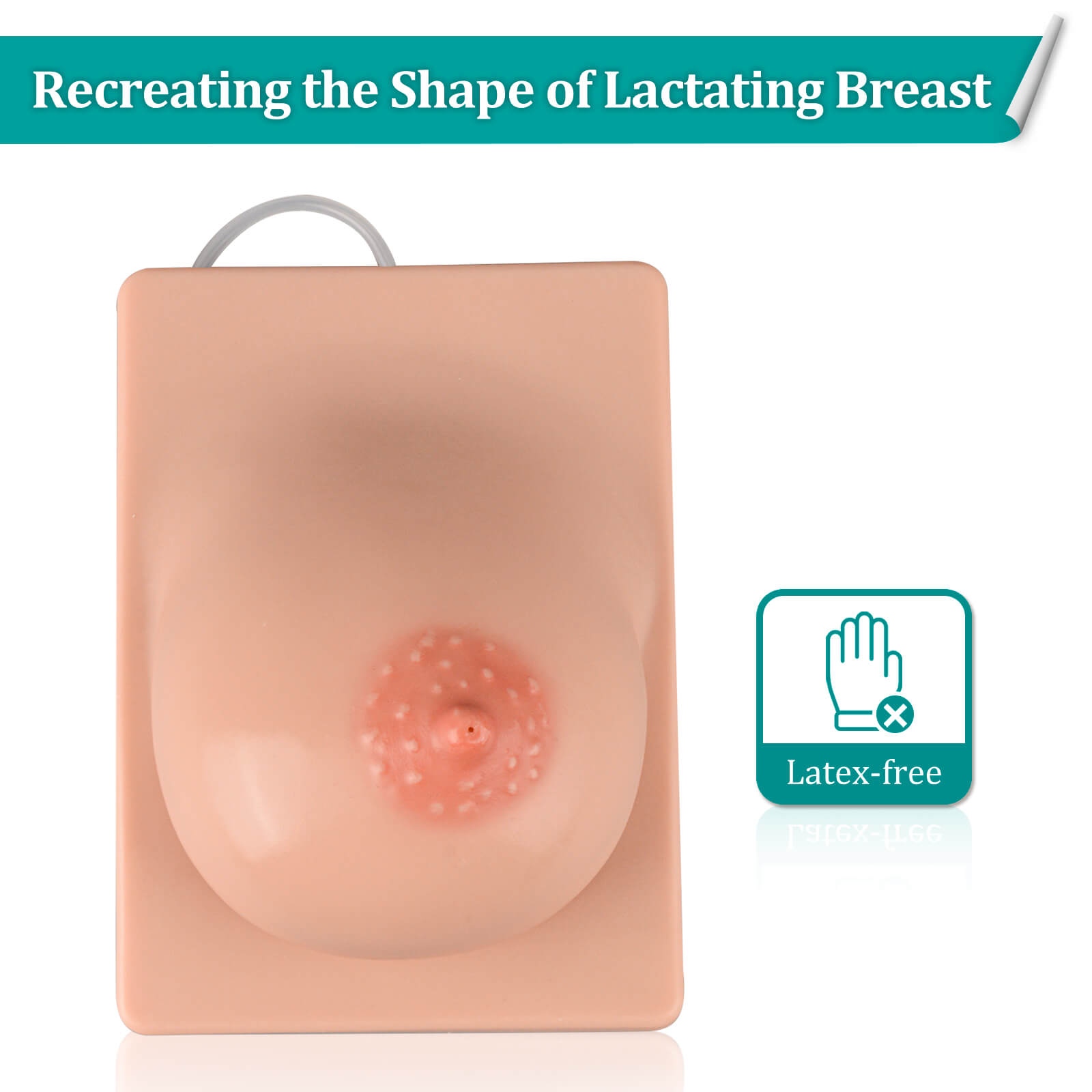 Lactation Breast Model for Breastfeeding Massage Education, Artificial Breastfeeding Educational Tool for Lactation Consultant, Left