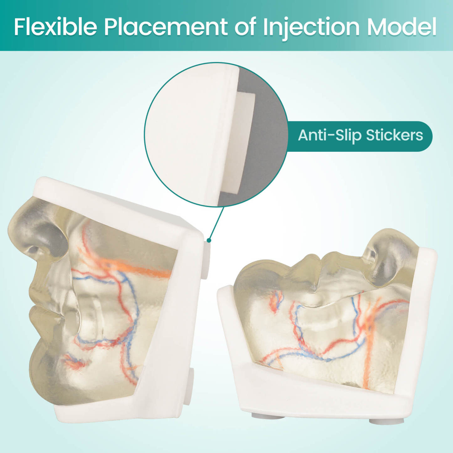Transparent Lower Facial Injection Training Model with Simulated Blood Vessels