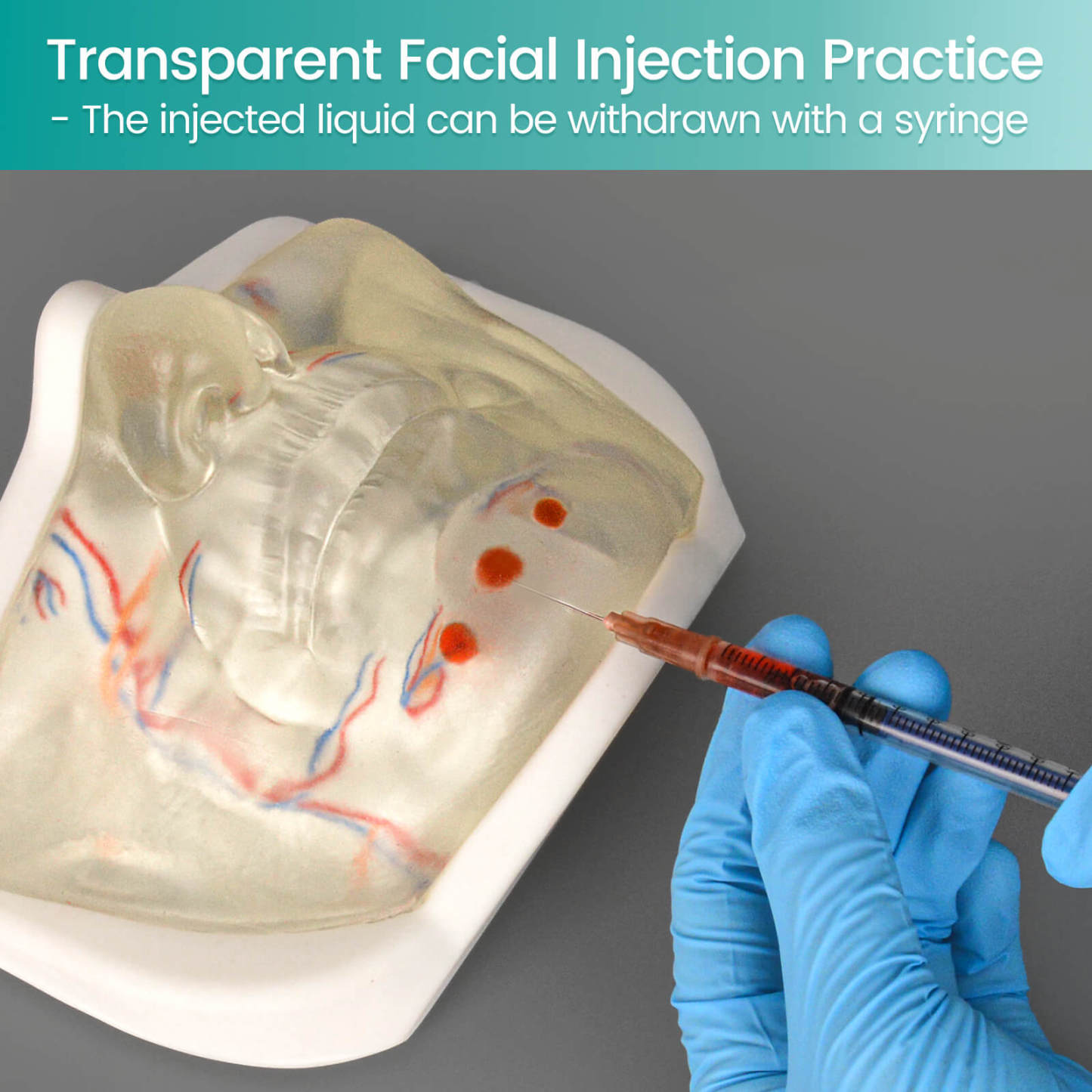 Transparent Lower Facial Injection Training Model with Simulated Blood Vessels