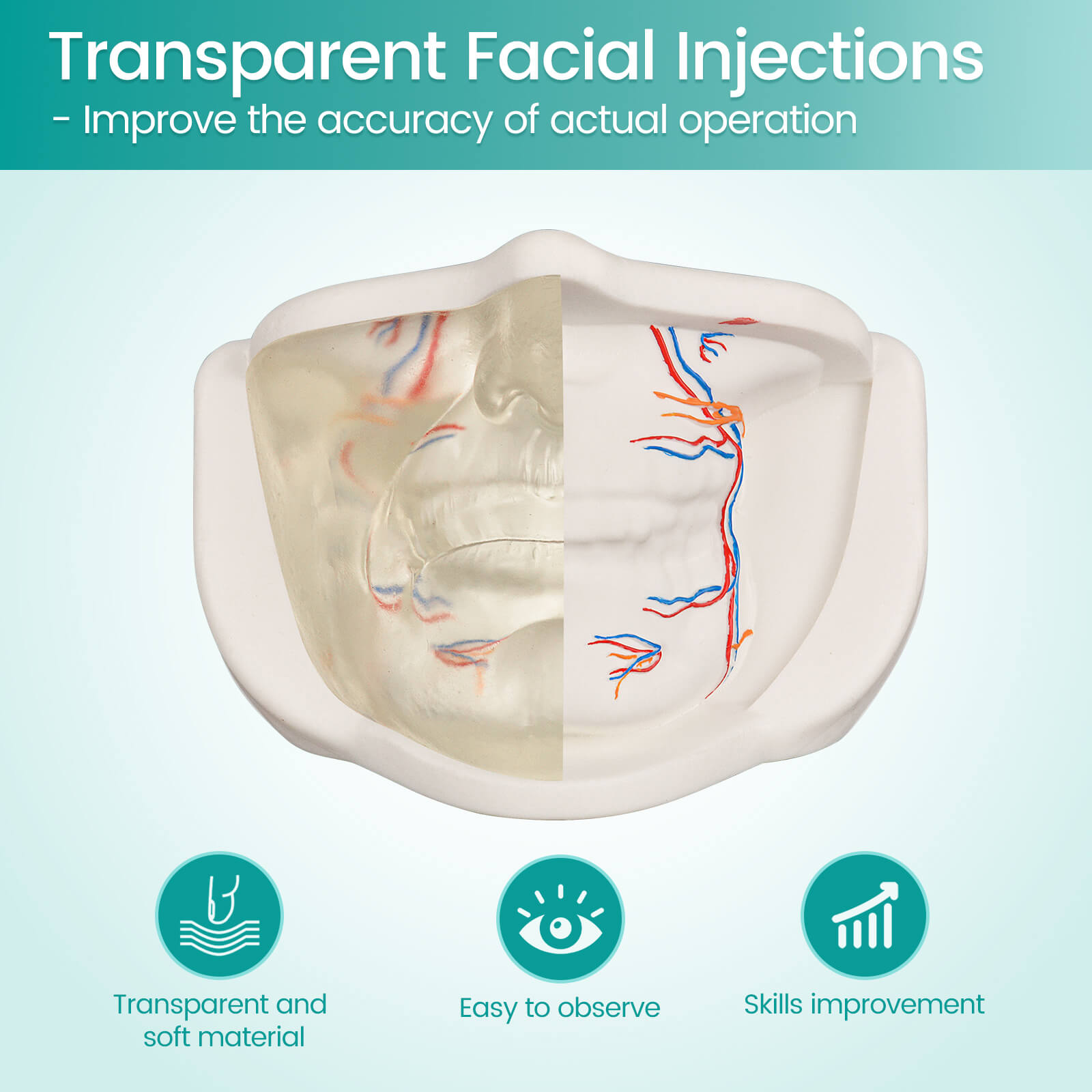 Transparent Lower Facial Injection Training Model with Simulated Blood Vessels