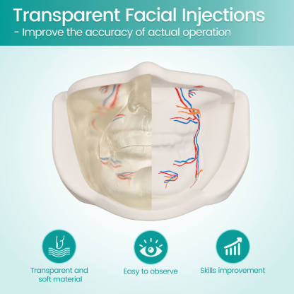 Transparent Lower Facial Injection Training Model with Simulated Blood Vessels