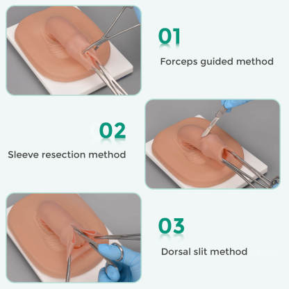 circumcision practice model