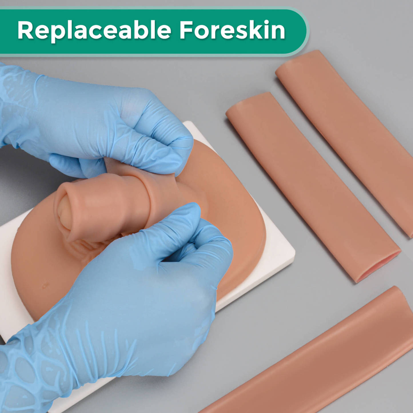 adult circumcision practice using a model