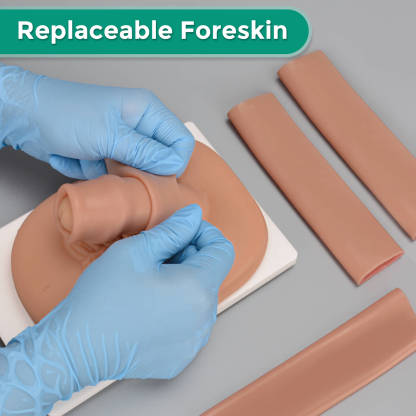 adult circumcision practice using a model