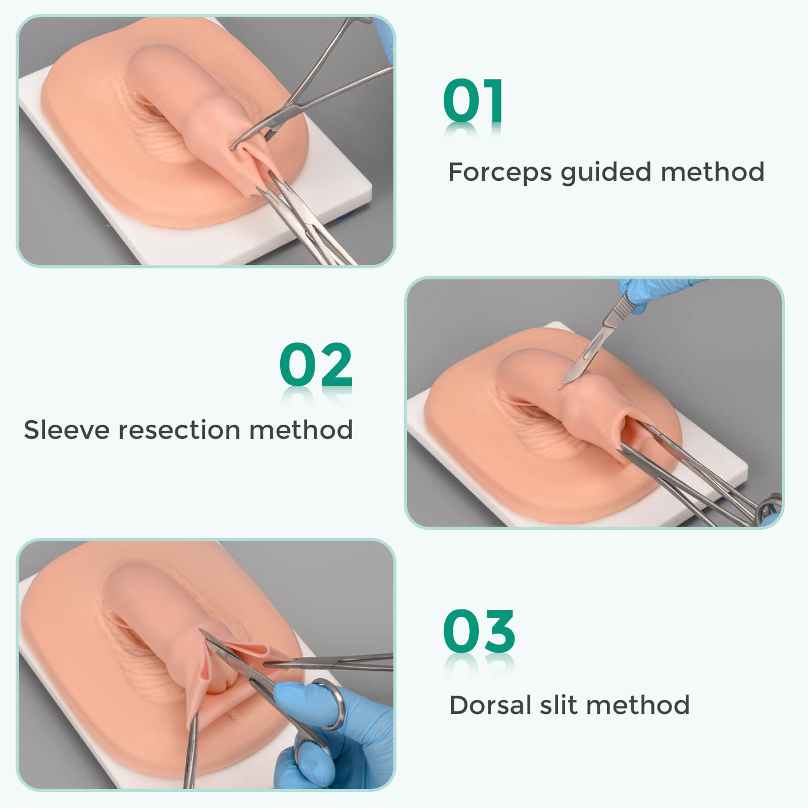 adult circumcision simulator for practicing circumcision methods