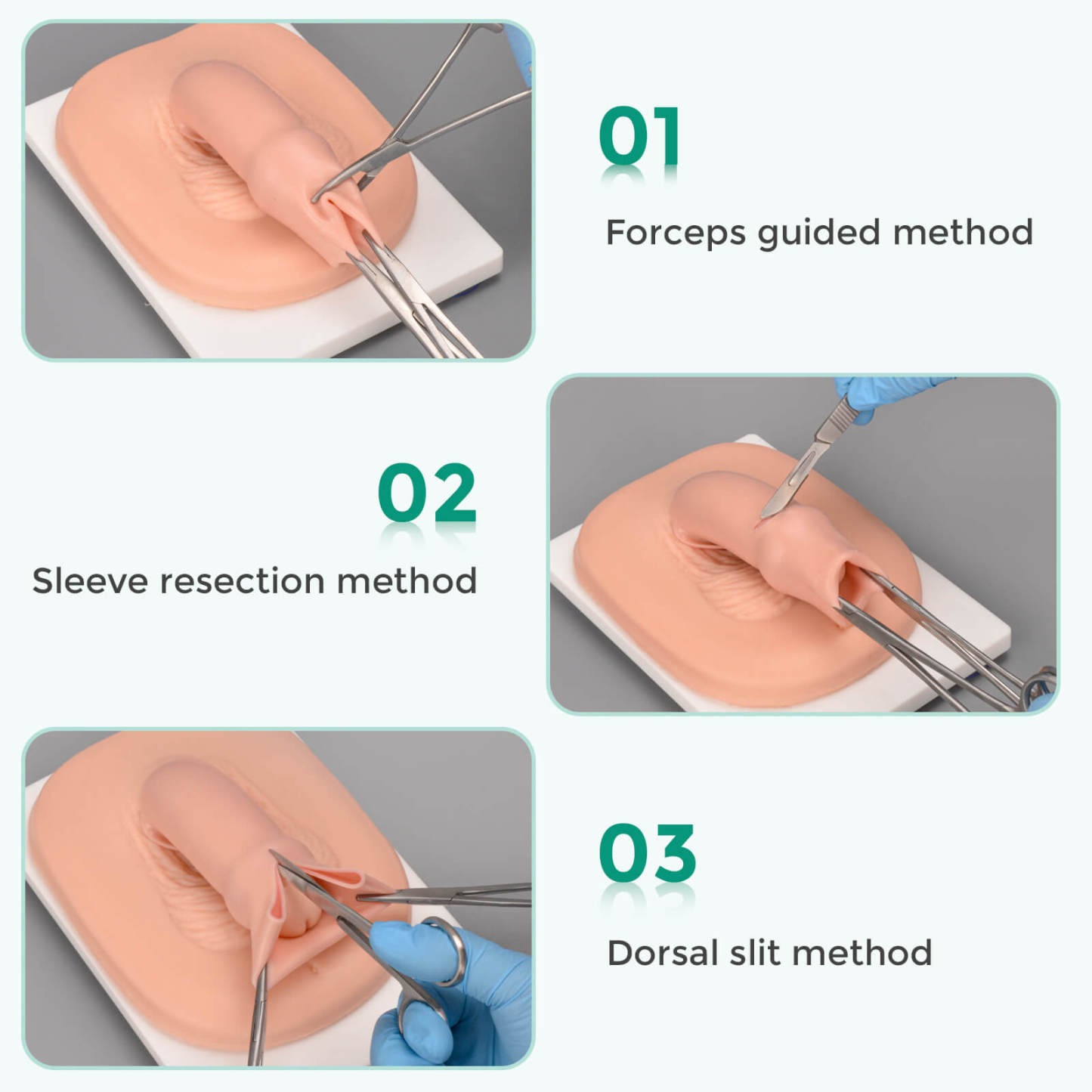 adult circumcision simulator for practicing circumcision methods