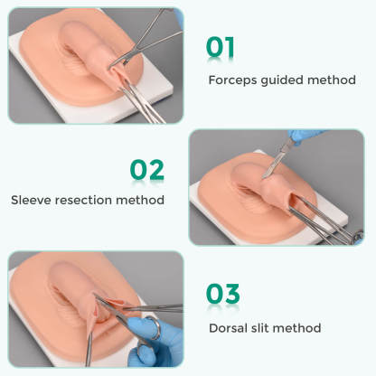adult circumcision simulator for practicing circumcision methods