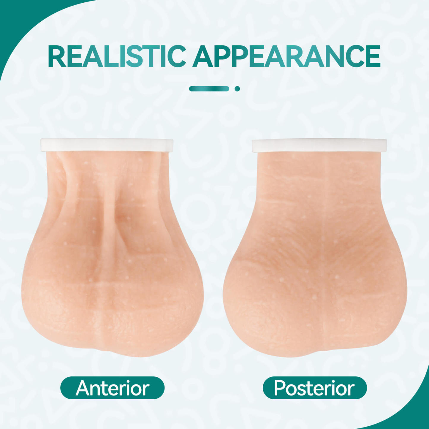 Testicular Self-Examination (TSE) Model Pocket Size