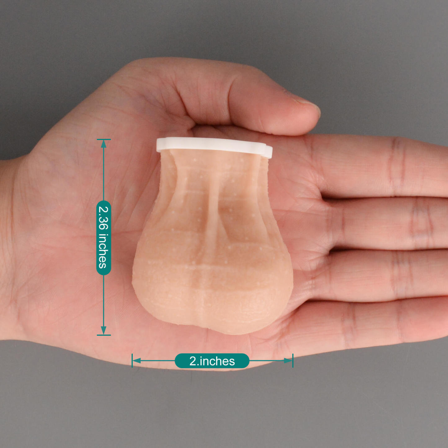 Testicular Self-Examination Model Pocket Size