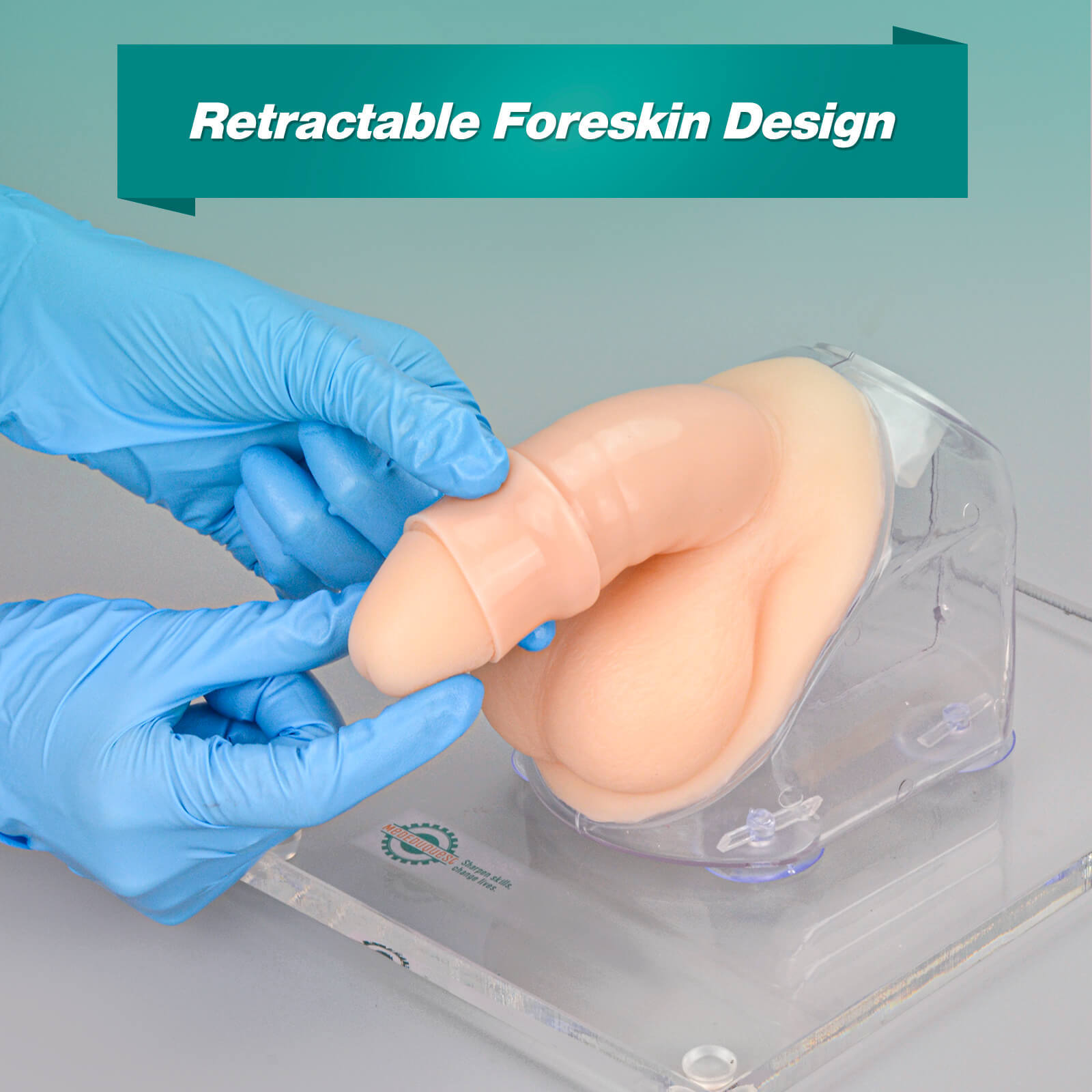 Male Urinary Catheterization Training Kit