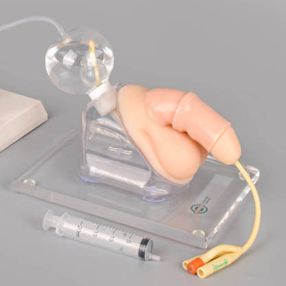 Male Urinary Catheterization Training Kit